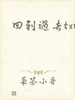 回到过去txt