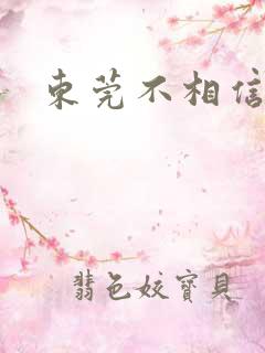 东莞不相信眼泪