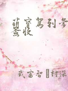 萌宝驾到爹地请签收