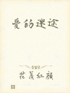 爱的迷途