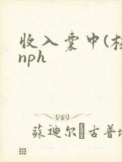 收入囊中(校园nph
