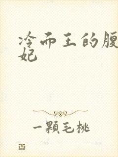 冷面王的腹黑王妃