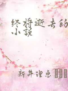 终将逝去的青春小说