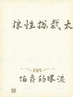 狼性总裁太凶猛