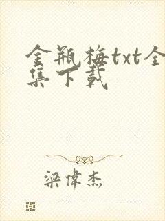 金瓶梅txt全集下载