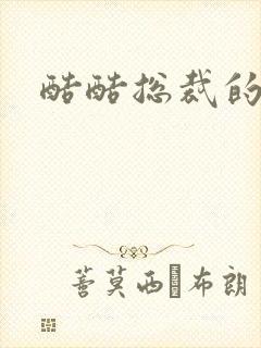 酷酷总裁的情人