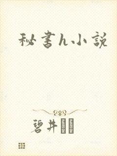 秘书h小说