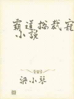 霸道总裁宠上天 小说