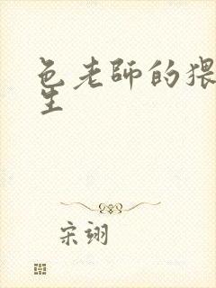 色老师的猥琐人生