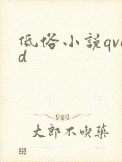 低俗小说qvod
