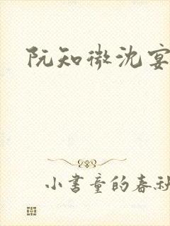 阮知微沈宴电竞