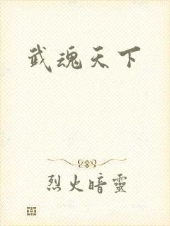 武魂天下