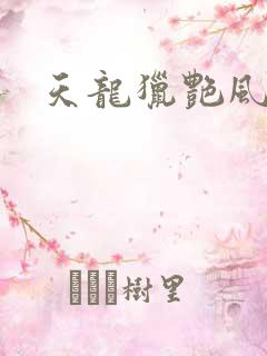 天龙猎艳风流