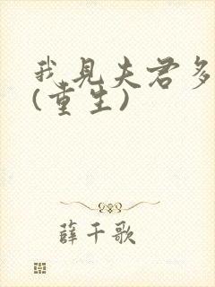 我见夫君多冷清(重生)