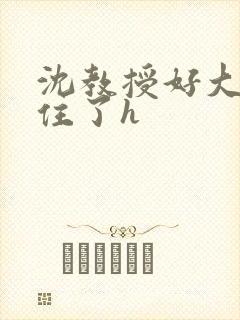 沈教授好大含不住了h