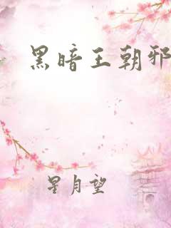 黑暗王朝邪恶版