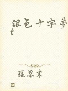 银色十字梦txt