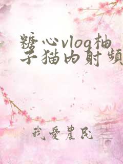 糖心vlog柚子猫内射频