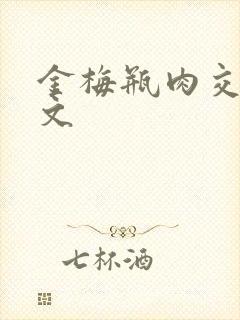 金梅瓶肉交白话文