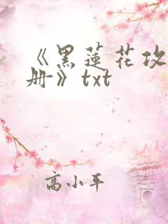 《黑莲花攻略手册》txt
