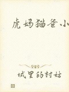 虎妈猫爸小说
