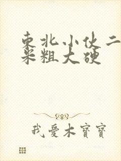 东北小伙二十厘米粗大硬