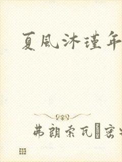 夏风沐瑾年