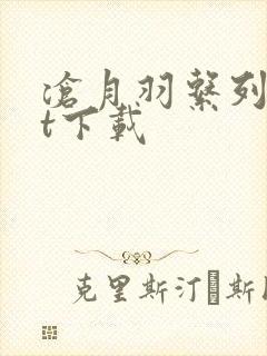 沧月羽系列txt下载