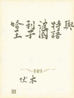 哈利波特与混血王子国语