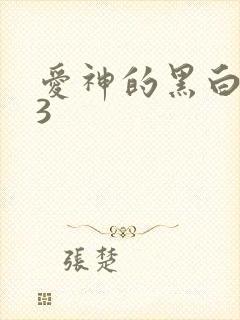 爱神的黑白羽翼3