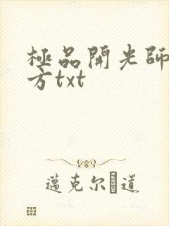 极品开光师李南方txt