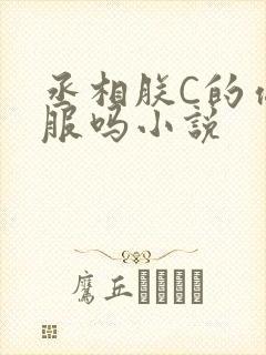 丞相朕C的你舒服吗小说