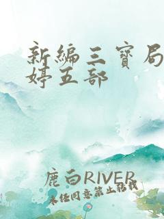 新编三宝局长许婷五部