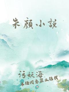 朱颜小说