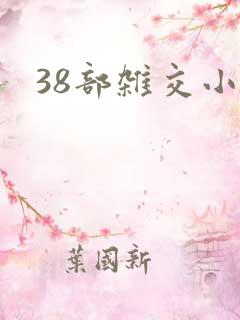38部杂交小说