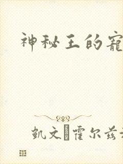 神秘王的宠姬