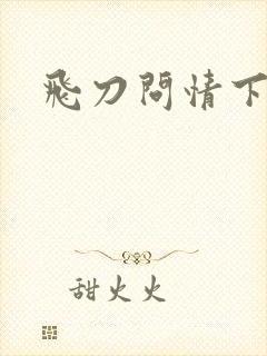 飞刀问情下载