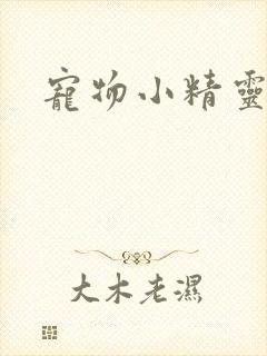 宠物小精灵之梦