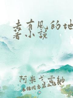 去有风的地方原著小说