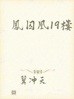凤囚凰19楼