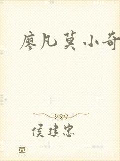 廖凡莫小奇