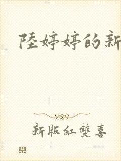 陆婷婷的新故事