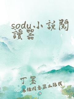 sodu小说阅读器