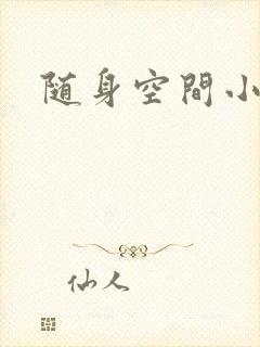 随身空间小说