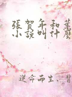 张贺年和叶繁姿小说叫什么名字