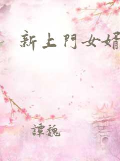 新上门女婿下载