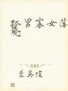 孤男寡女落瑛纷飞