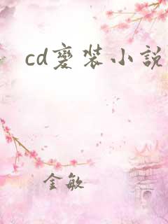 cd变装小说