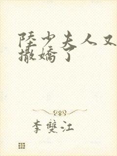 陆少夫人又双叒撒娇了