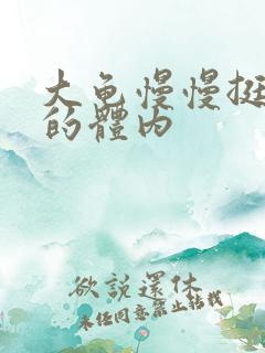 大龟慢慢挺进我的体内